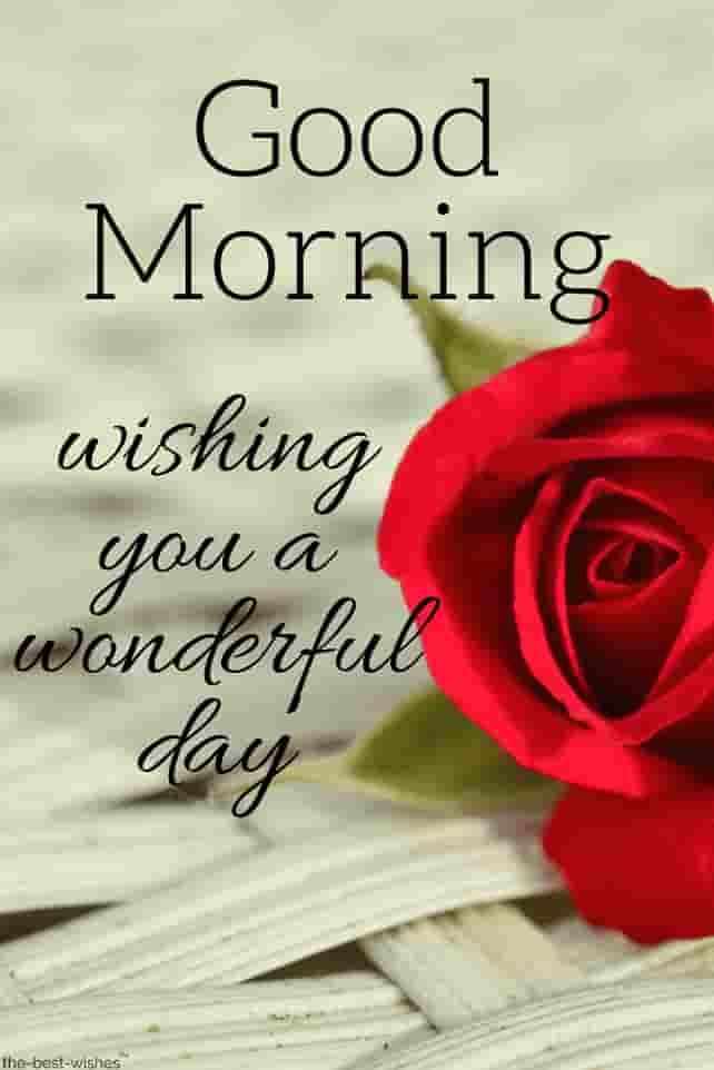 Top 134 Good Morning Wishes With Rose Best