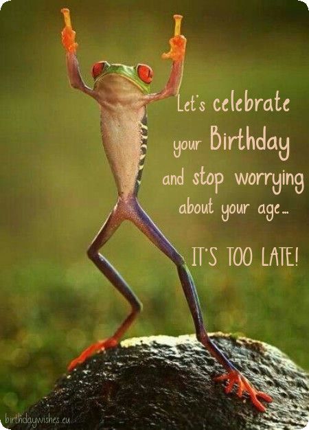 Top 50 Funny Birthday Wishes For Friend And Humorous Birthday
