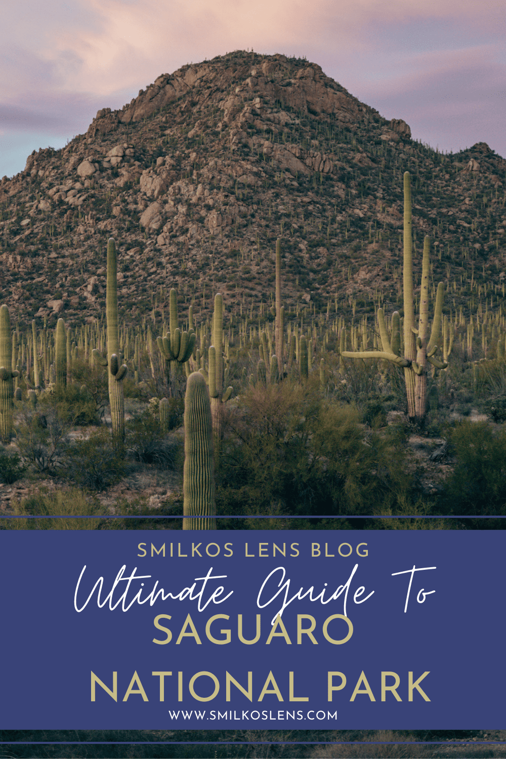 ULTIMATE GUIDE TO SAGUARO NATIONAL PARK Images