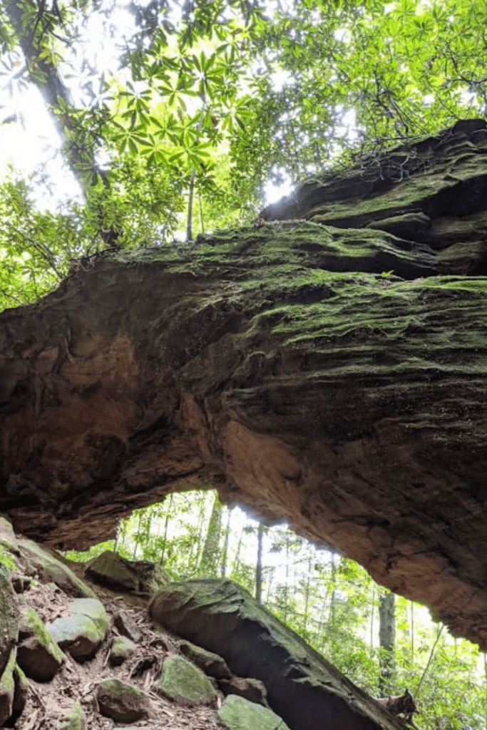 Ultimate Guide To The Red River Gorge Images