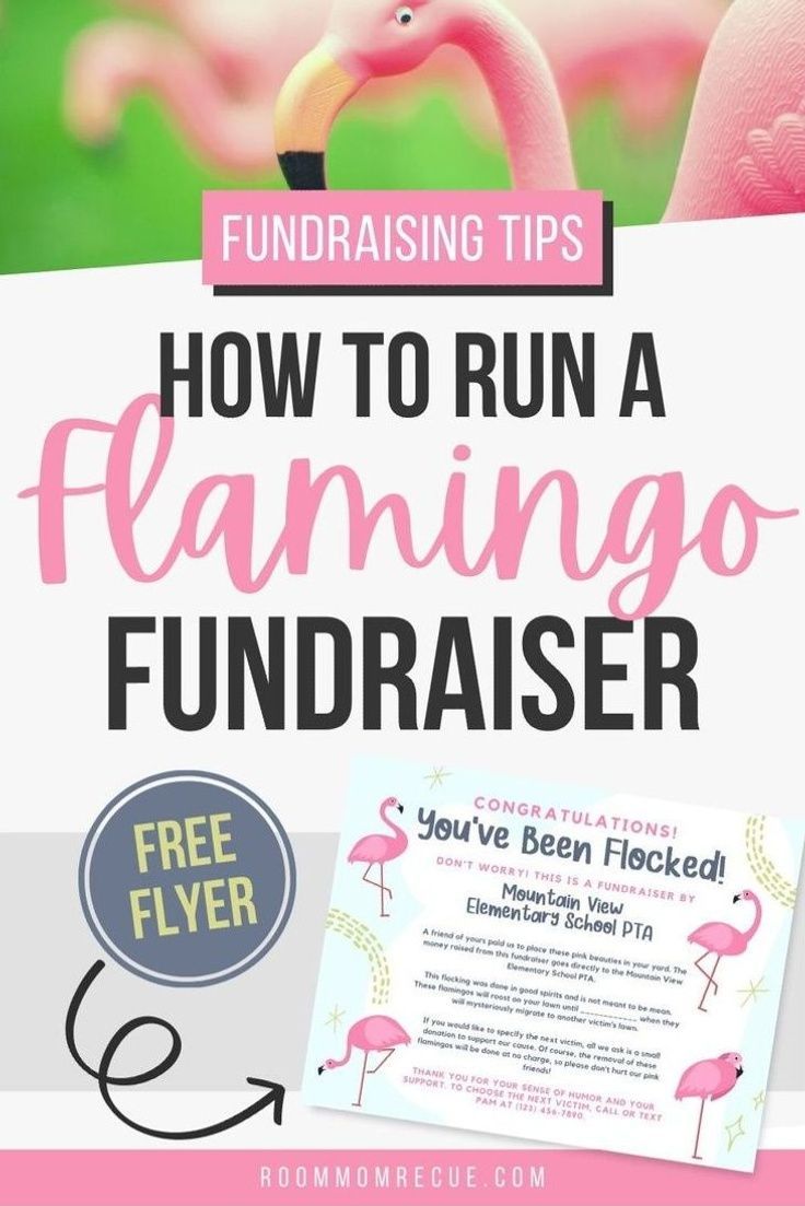 Unique Fundraising Ideas: Planning a Flamingo Fundraiser Can Raise Money