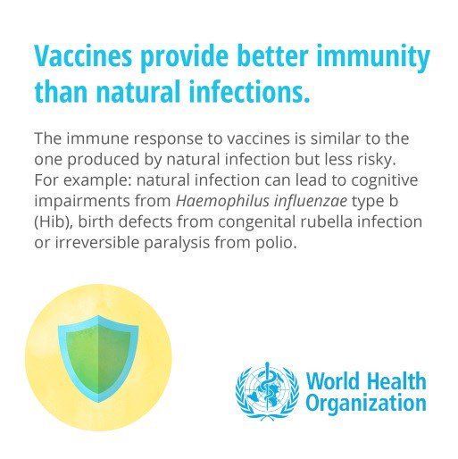 Vaccines Provide Better Immunity Than Natural Infections Images