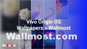 Vivo Origin OS Wallpapers