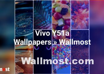 Vivo Y51A Wallpapers