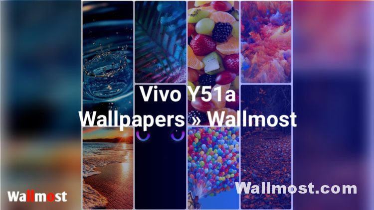 Vivo Y51a Wallpapers