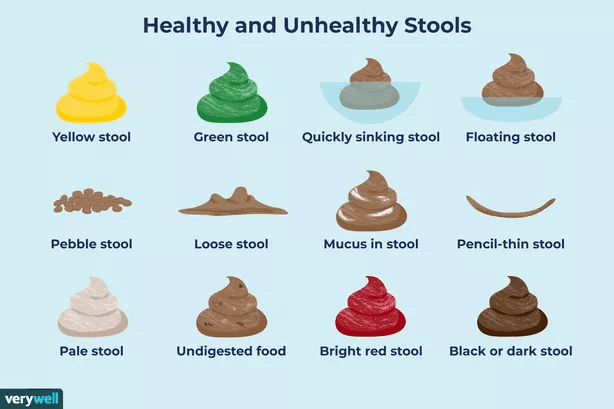 What Do The Different Poop Colors And Shapes Mean?