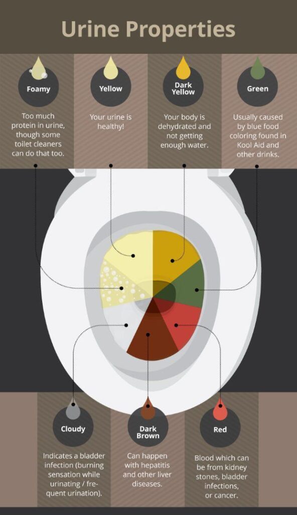What Your Poop And Pee Say About You Images