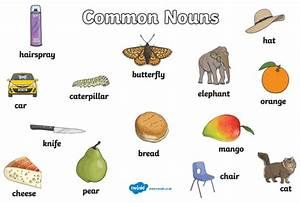 What is a common noun? | Grammar