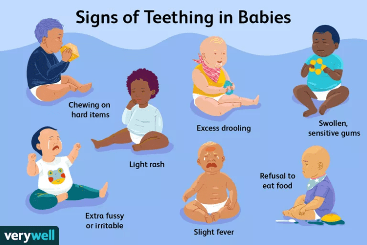 When Will My Baby Start Teething Images