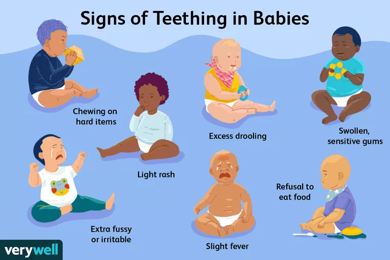 When Will My Baby Start Teething Images