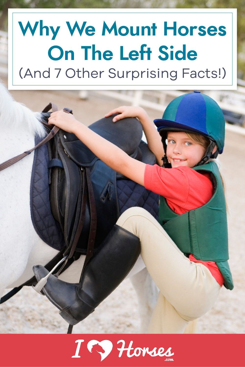 Why We Mount Horses On The Left Side. (And 7 Other Surprising Facts!)