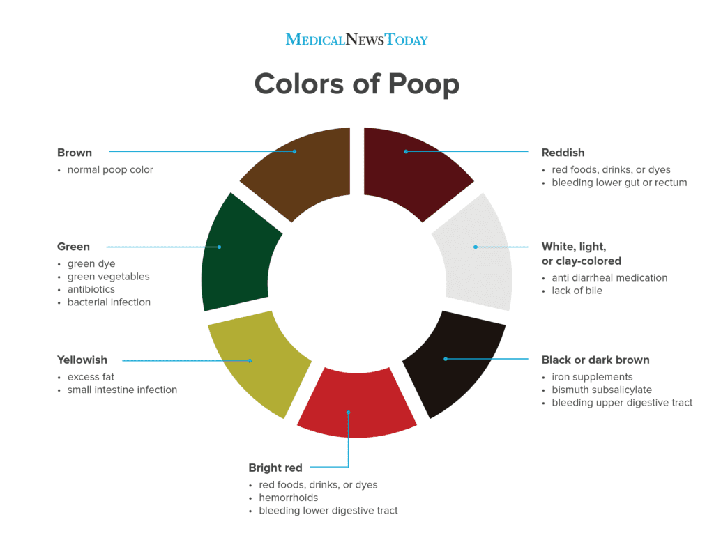 Why Is My Poop Green? Stool Colors Explained