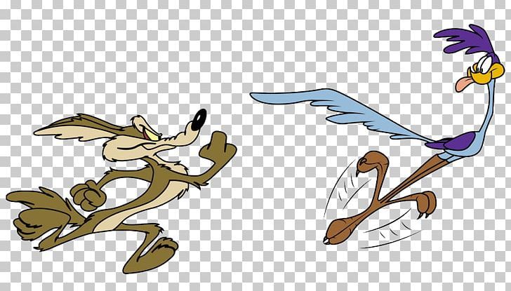Wile E. Coyote And The Road Runner Looney Tunes Wile Bugs Bunny PNG - Free Downl