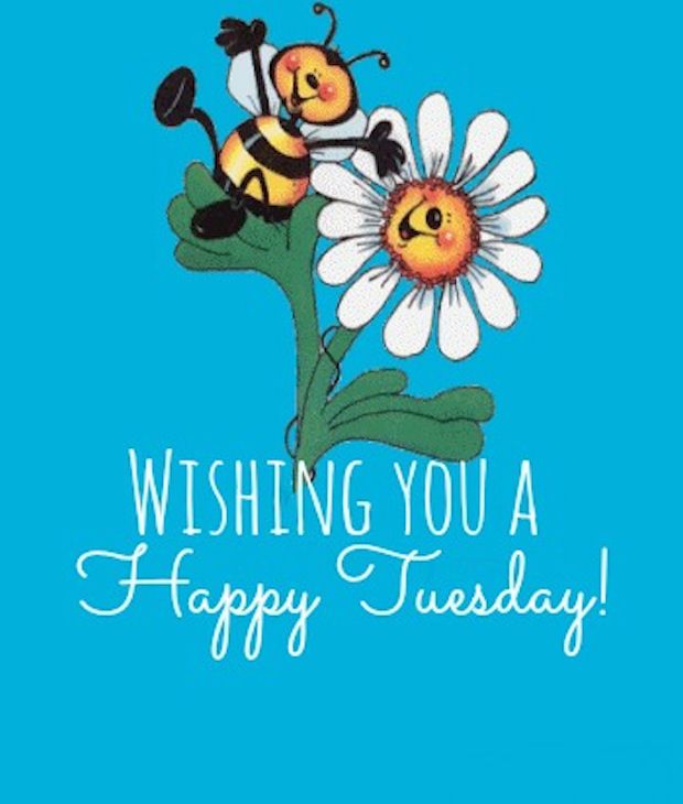 Wishing You A Happy Tuesday