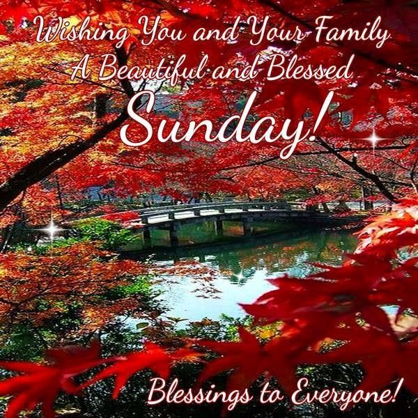 Wishing You And Your Family A Beautiful And Blessed Sunday