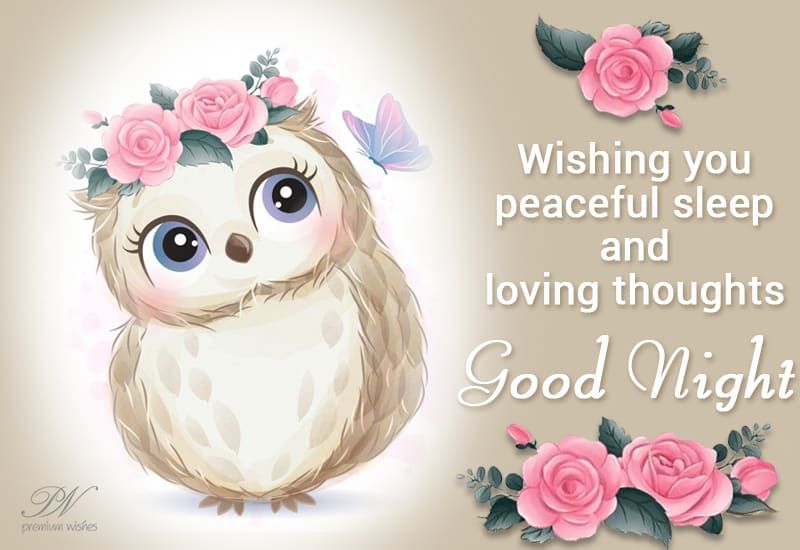 Wishing You Peaceful Sleep And Loving Thought Good Night
