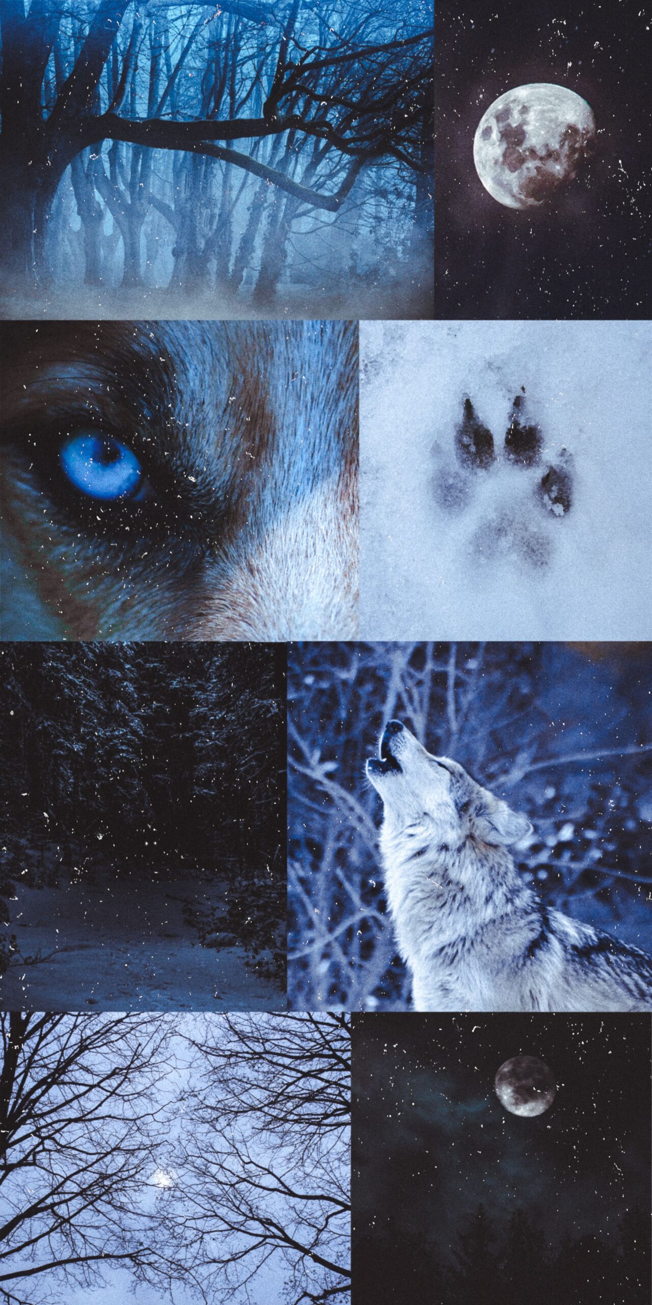 Wolf aesthetic wallpaper collage dark