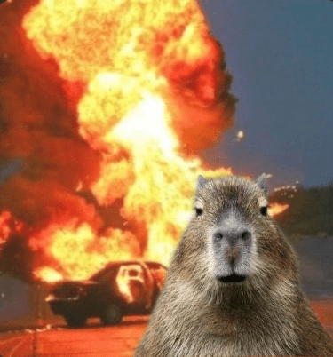 capybara hehehe