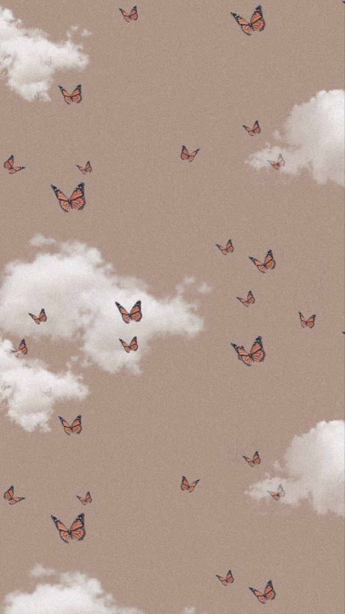 cloud butterfly