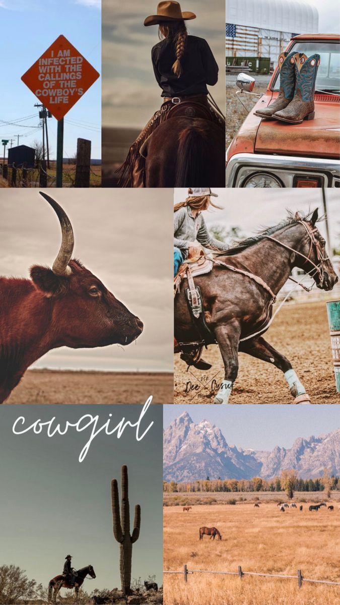 cowgirl wallpaper aesthetic