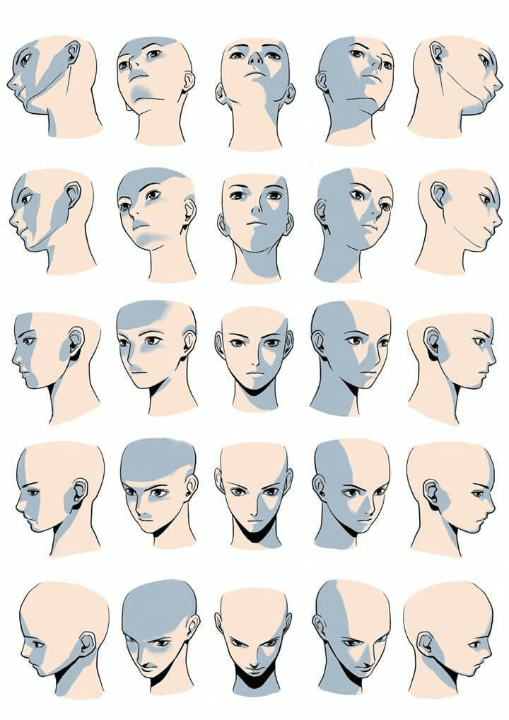 face shadow reference