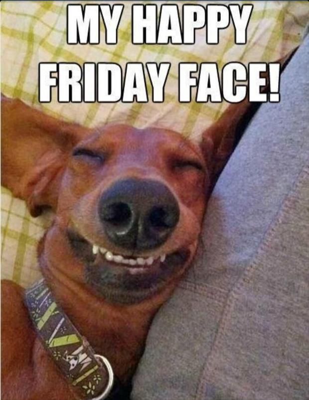 Funny Friday Faces Dump A Day Images