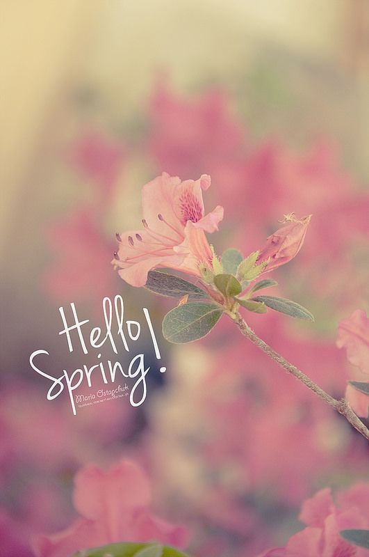 Hello Spring Images
