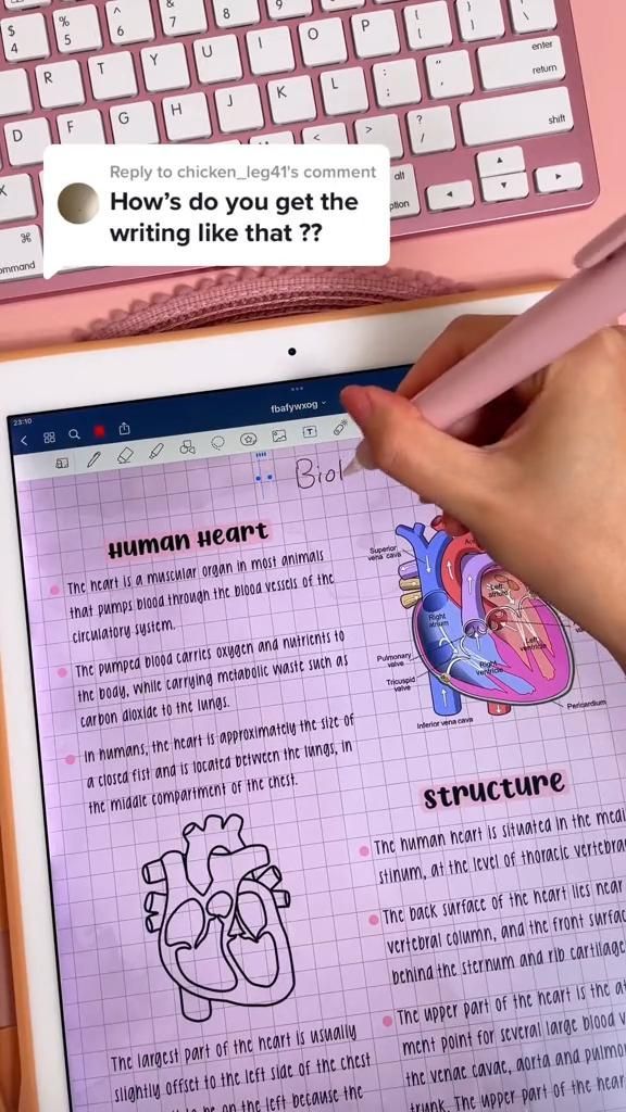 iPad notetaking tip  aesthetic study notes | goodnotes digital note taking & di