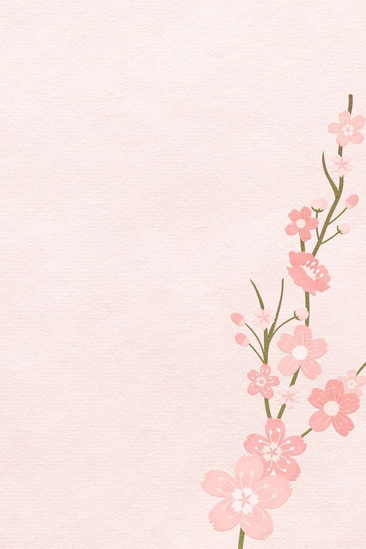 Download Free Image Of Spring Background With Pink Sakura Flower By Tang About S