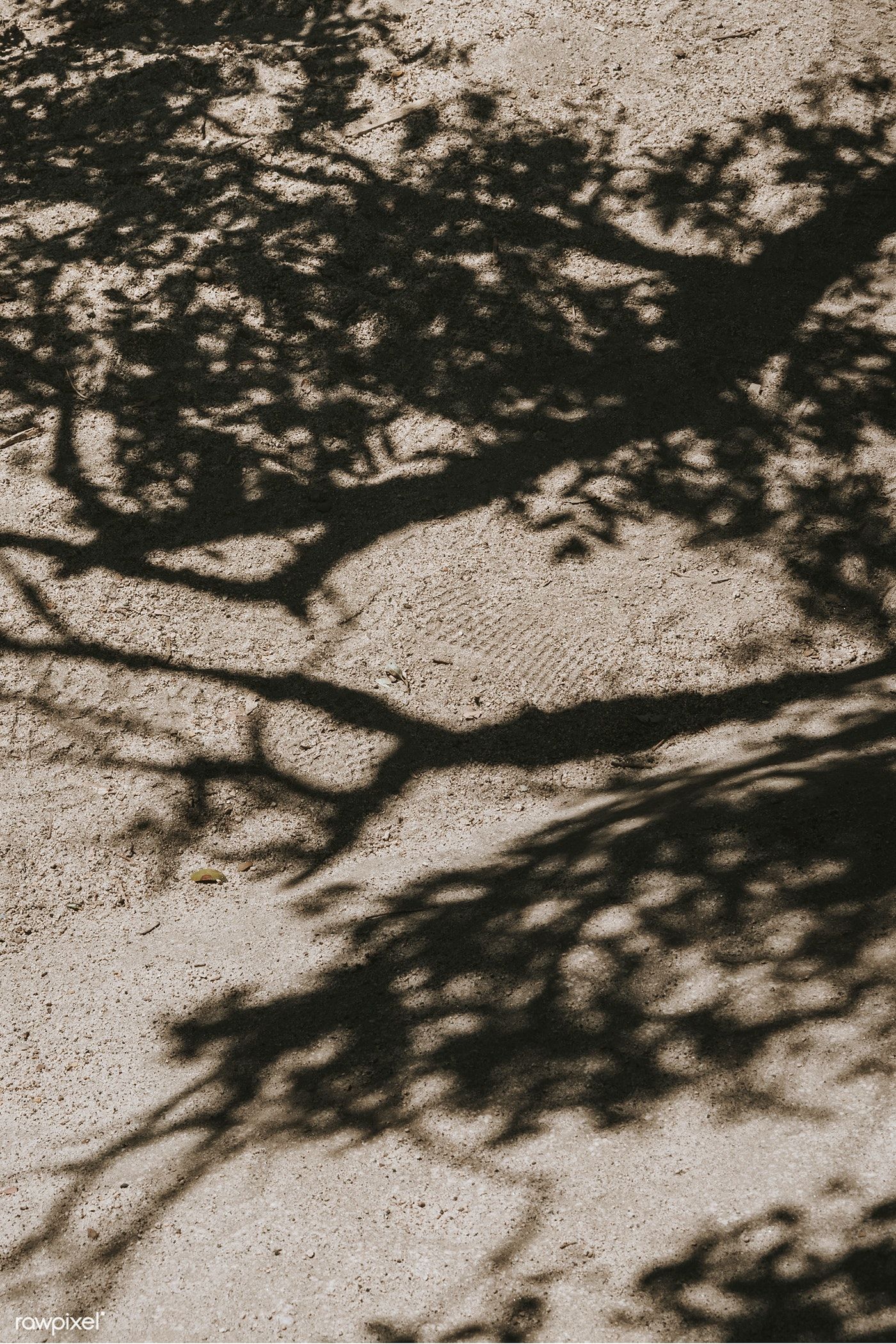 Download free image of Tree shadow on a dirt road by Teddy about tree shadow, tr