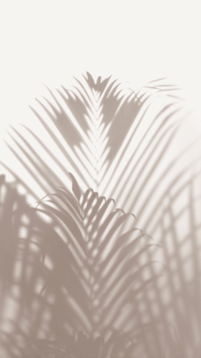 Download premium image of Aesthetic iPhone wallpaper, minimal beige background b