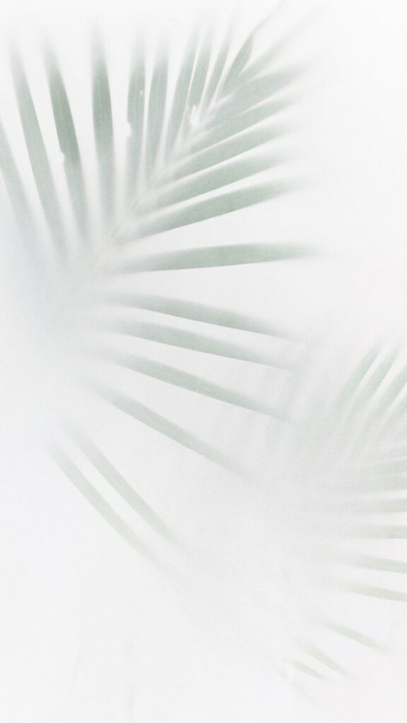 Download Premium Image Of Blurred Green Palm Leaves On Off White Background By T