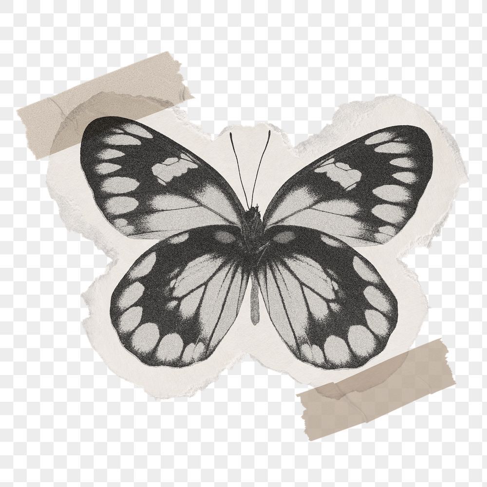 Download premium png of Black butterfly png sticker, washi tape transparent back