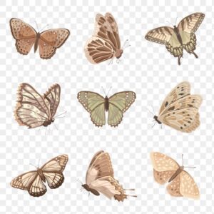 , premium png of Earth tone butterfly png stickers, watercolor collage el HD Wallpaper