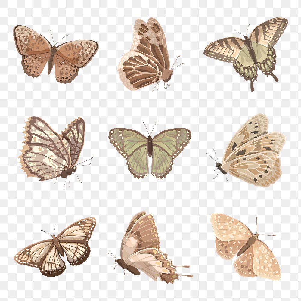 Download premium png of Earth tone butterfly png stickers, watercolor collage el