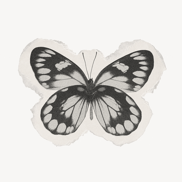 Premium Psd Of Black Butterfly Collage Element Torn