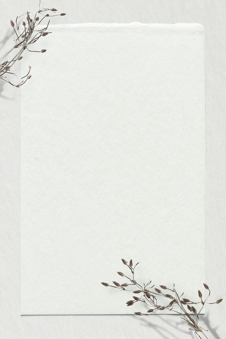 Download Premium Psd / Image Of Dry Branch Psd Off White Background Text Space B