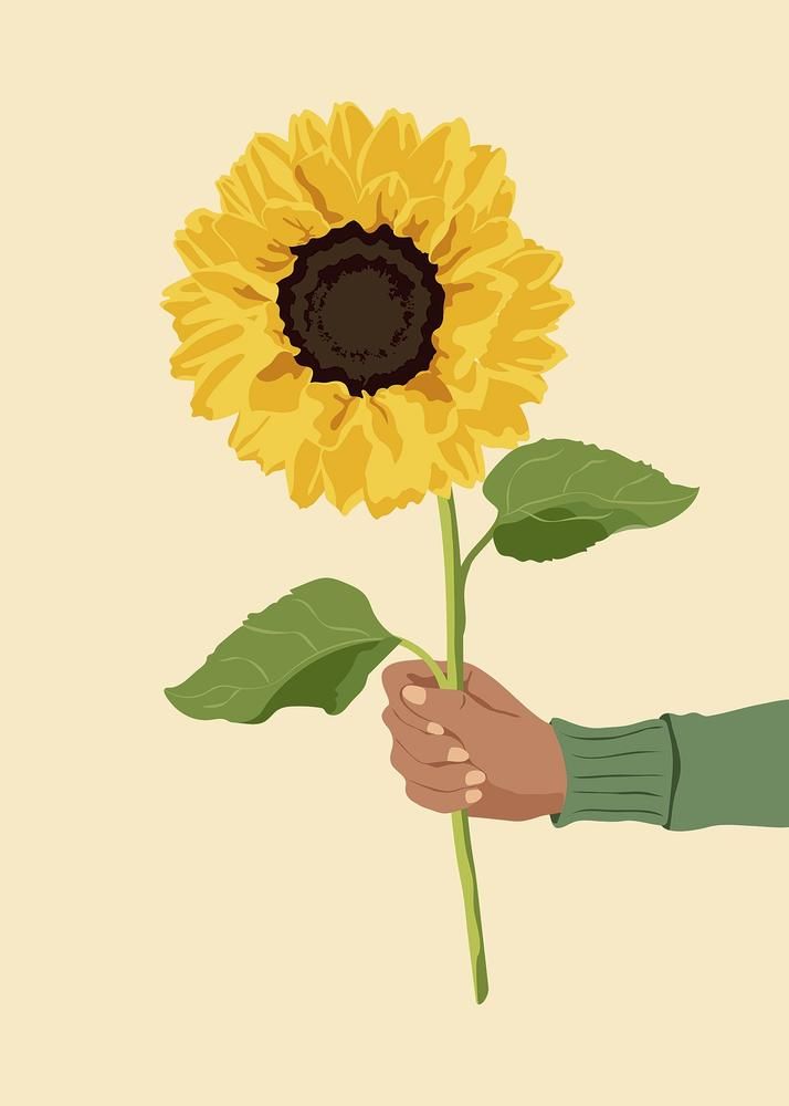 , premium vector of Aesthetic sunflower background, hand holding flower