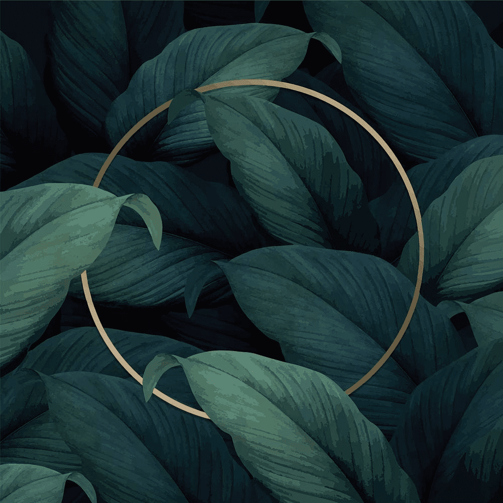 Premium Vector Of Gold Round Frame On Tropical Leaves