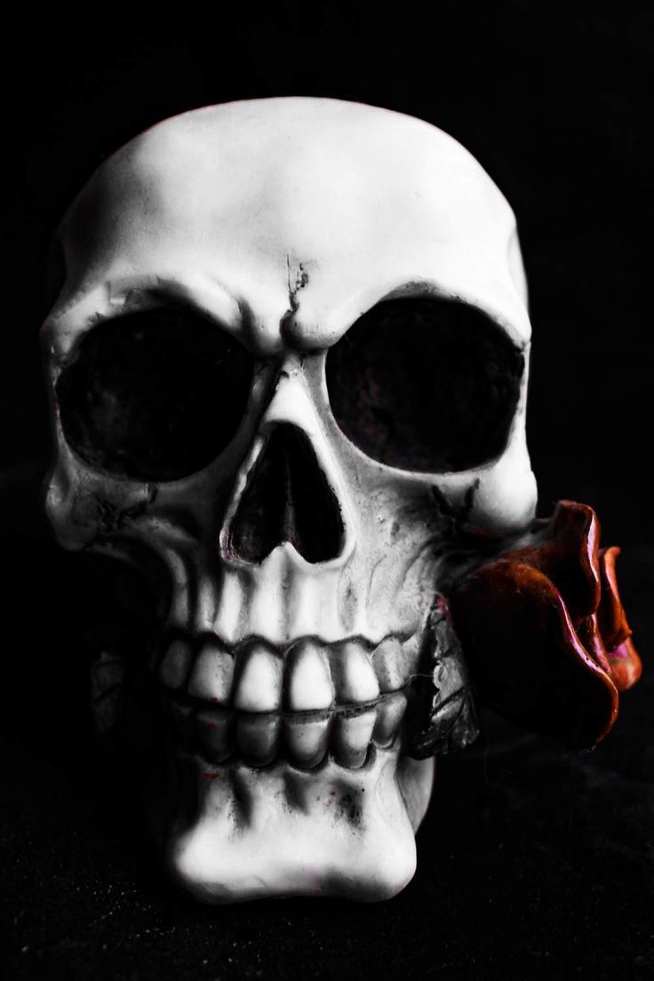trippy dark aesthetic skull wallpaper