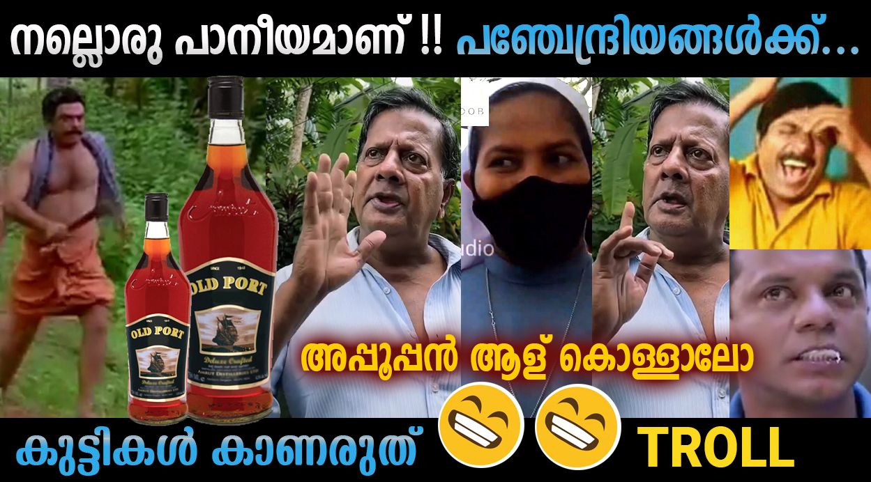 വീഡിയോ കാണാൻ: Troll Malayalam | Malayalam Troll | Bee Troll
